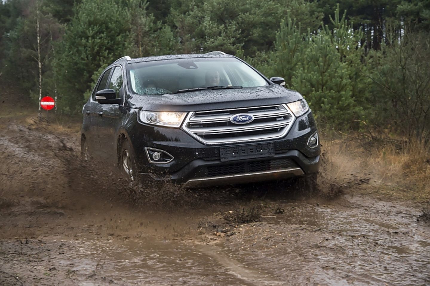 Ford Edge 2.0 TDCi