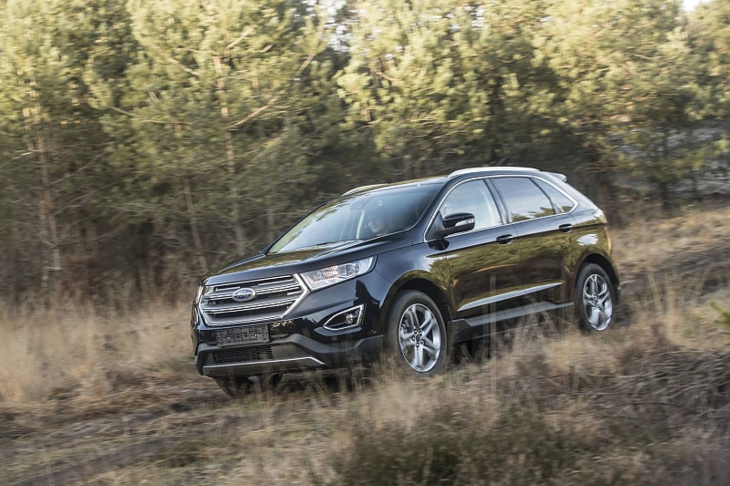 Ford Edge 2.0 TDCi