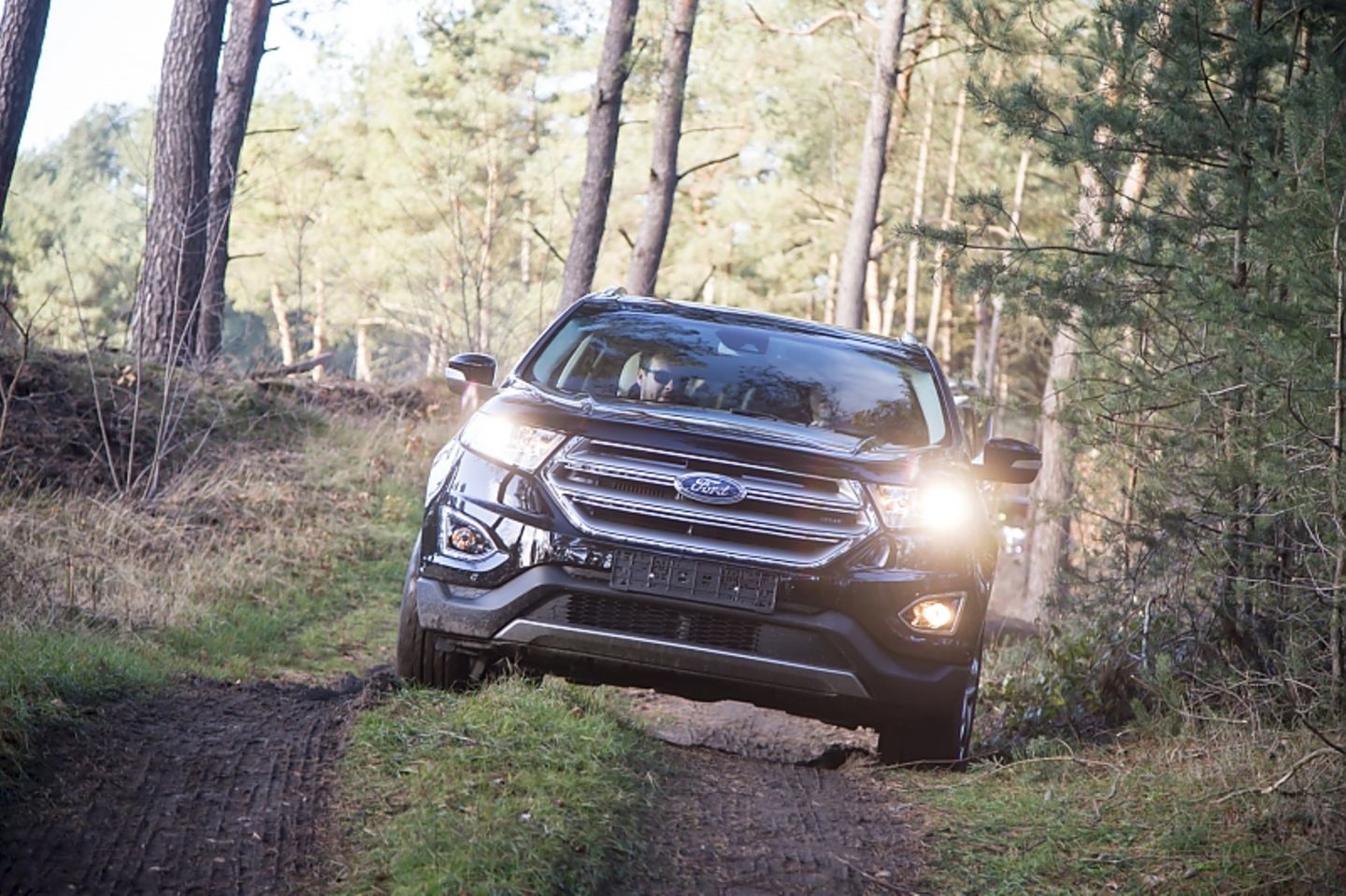 Ford Edge 2.0 TDCi