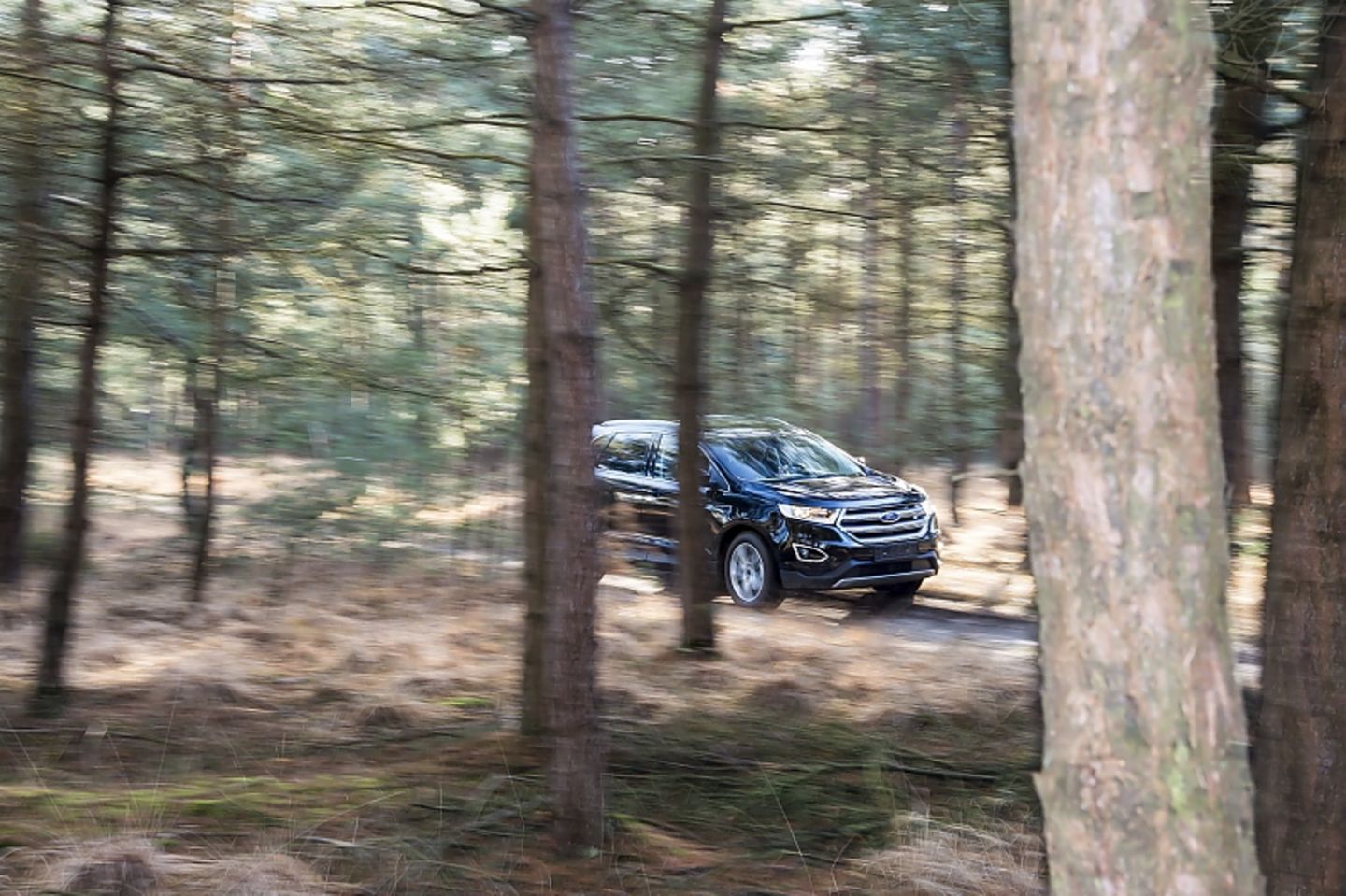 Ford Edge 2.0 TDCi