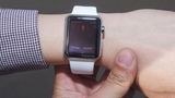 Die Smartwatch überwacht den Soul EV