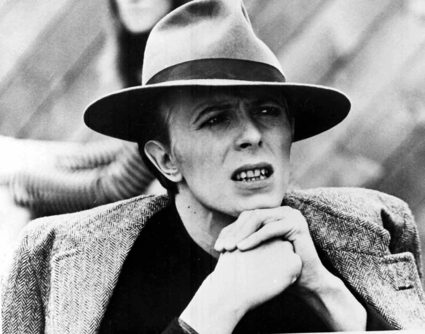 David Bowie David Bowie