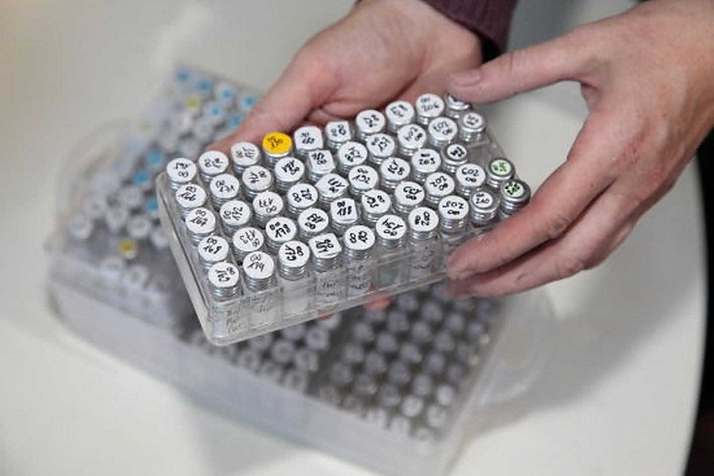 In diesen Behältern befinden sich die Materialproben