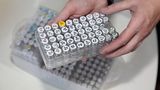In diesen Behältern befinden sich die Materialproben