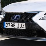 Der Diabolo-Grill des Lexus RC 300h