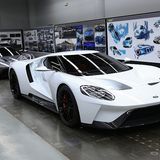 Dieses Exemplar war noch vor einem Jahr blau...