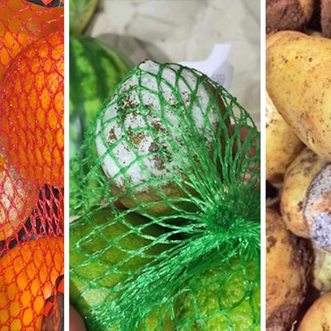 Verschimmelte Clementinen von Aldi, fiese Lidl-Limetten und faulige Kartoffeln bei Rewe: Nur drei von vielen Funden der NDR-Tester