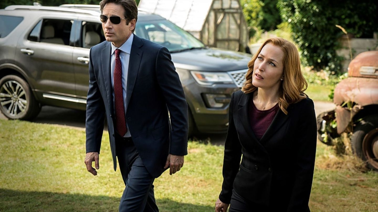 Scully, fahr schon mal den Ford vor STERN.de