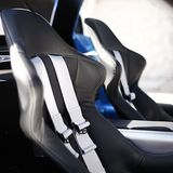 Wer hier sitzen darf, kann sich glücklich schätzen.