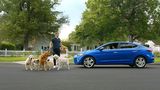 Frauen-Liebling Ryan Reynolds peppt die Hyundai Werbung auf