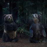 Hyundai zeigt insgesamt vier Filme. Einer davon trägt den Titel "The Chase" (dt. die Jagd).