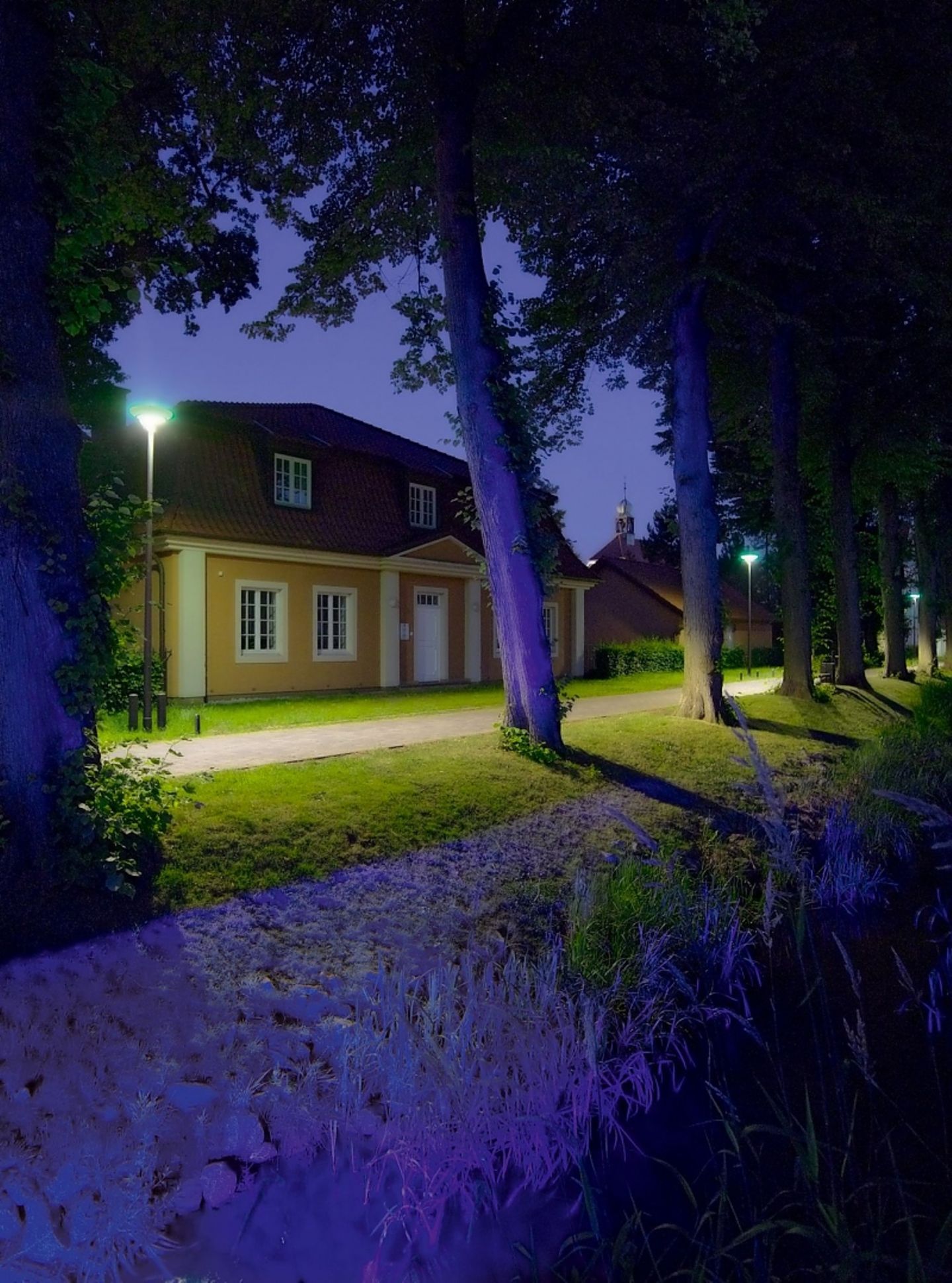 In Rietberg wird eine Allee ausgeleuchtet
