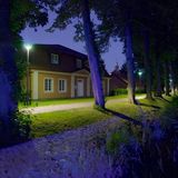 In Rietberg wird eine Allee ausgeleuchtet