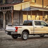 Über sechs Meter ist er lang.