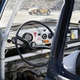 Faszination Beetle Bug