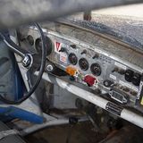 Faszination Beetle Bug