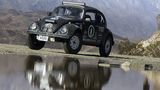 Faszination Beetle Bug