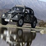 Faszination Beetle Bug