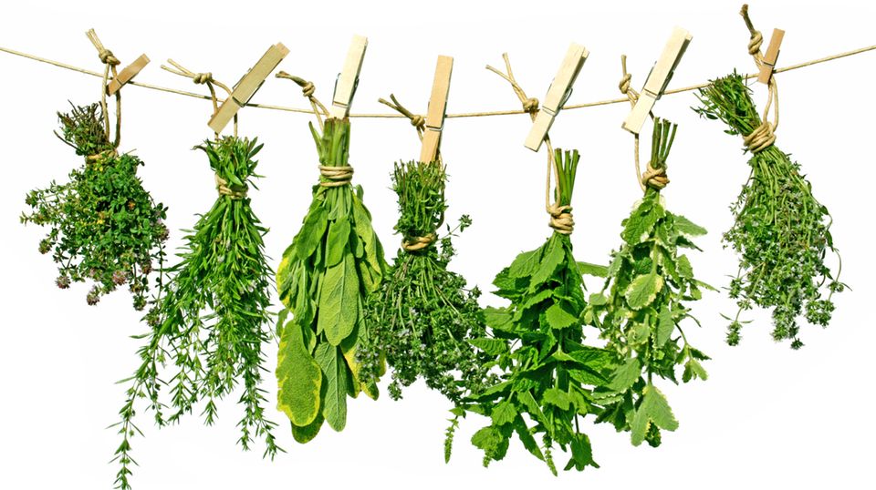 Küchentipps: Mit diesem einfachen Trick machen Sie Kräuter haltbar