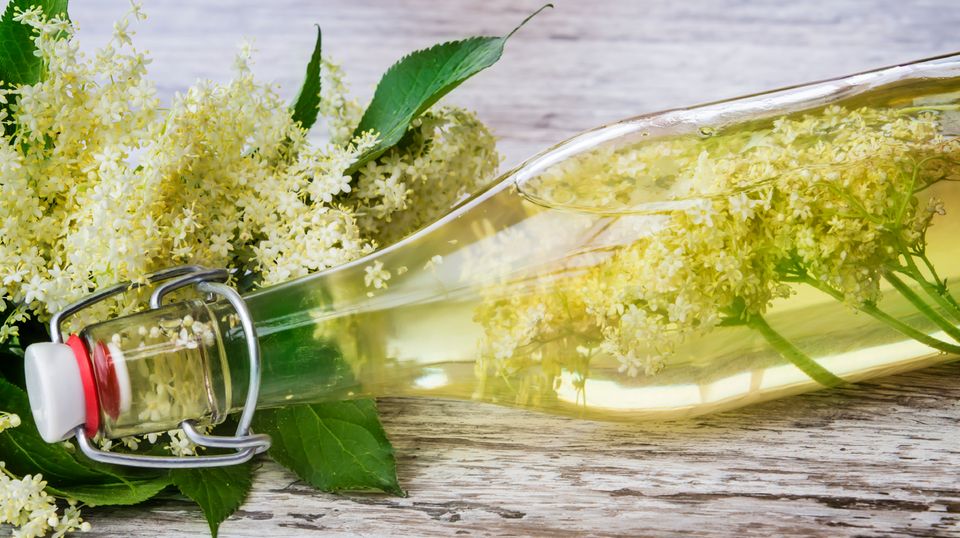 Küchentipp: So machen Sie Holunderblütensirup selber