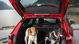 Der Opel Astra Sports Tourer 1.6 BiTurbo CDTI ist praktikabel