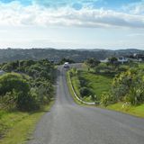 Auch im neuseeländischen Sommer wie im Winter bleibt Waiheke eine grüne Insel mit zum Teil wilder Vegetation aus Busch mit Palmen und baumgroßen Farnen und Palmen