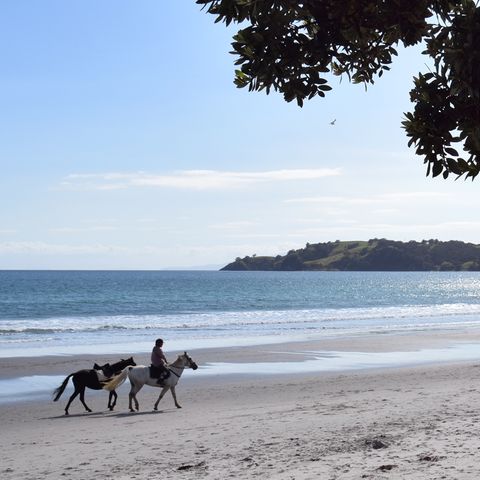 Reiterin am Strand von Onetangi