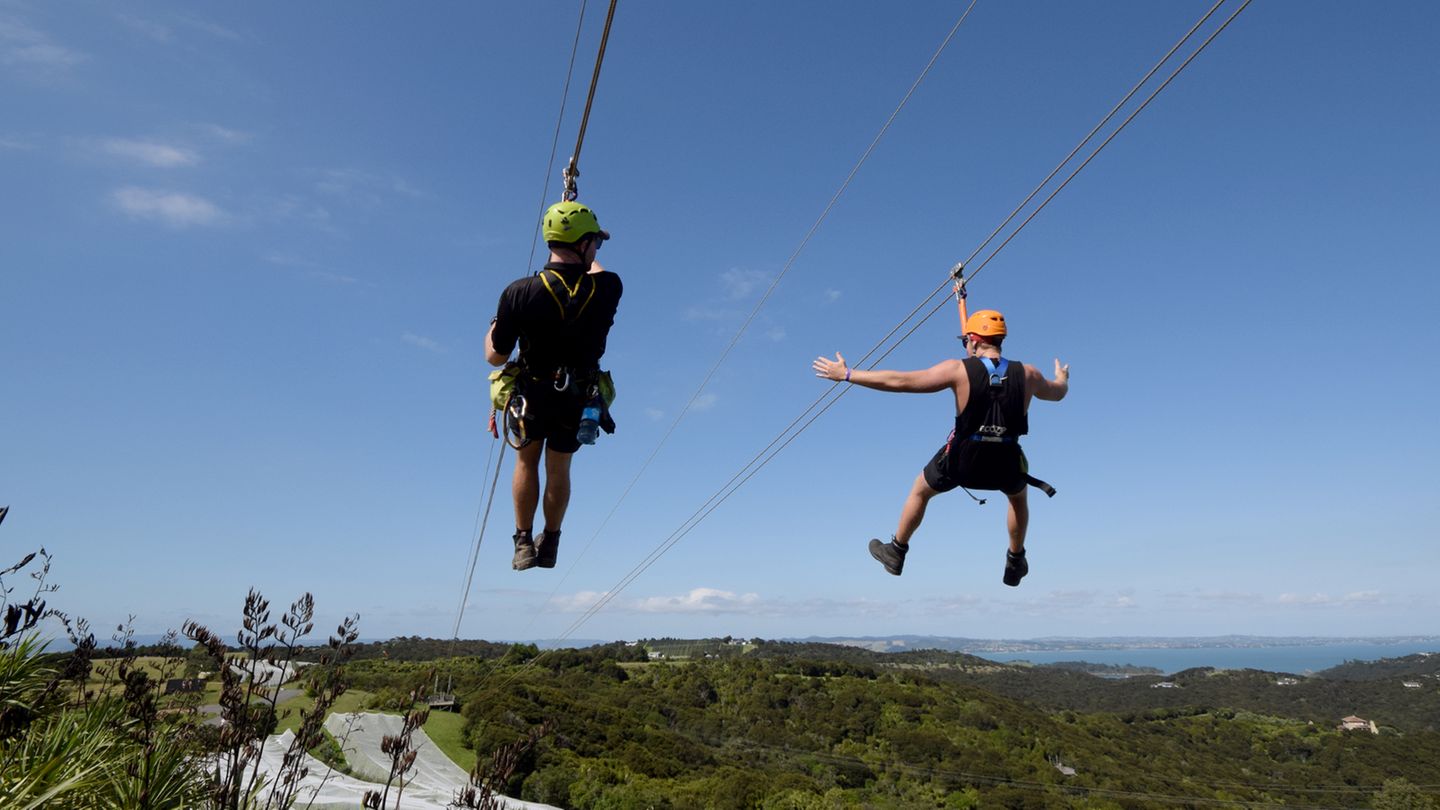 Neuseelands Trauminsel : Für Aktivurlauber: Am Drahtseil hängend gibt es seit Neuestem eine Inselbesichtigung aus der Luft: Drei verschiedene Seilrutschen der Ecozip Adventures führen an den Hängen über Baumwipfel und Weinreben hinab ins Tal. Für Aktivurlauber: Am Drahtseil hängend gibt es seit Neuestem eine Inselbesichtigung aus der Luft: Drei verschiedene Seilrutschen der Ecozip Adventures führen an den Hängen über Baumwipfel und Weinreben hinab ins Tal.