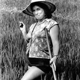 Arbeiterin im Reisfeld, nördliche Po-Ebene, Italien 1963