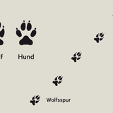 Spuren vom Wolf und vom Hund