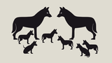 Ein Schaubild zeigt ein Wolfsrudel