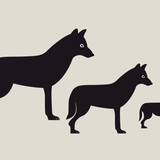 Wolf und Welpen in einem Schaubild