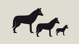 Wolf und Welpen in einem Schaubild