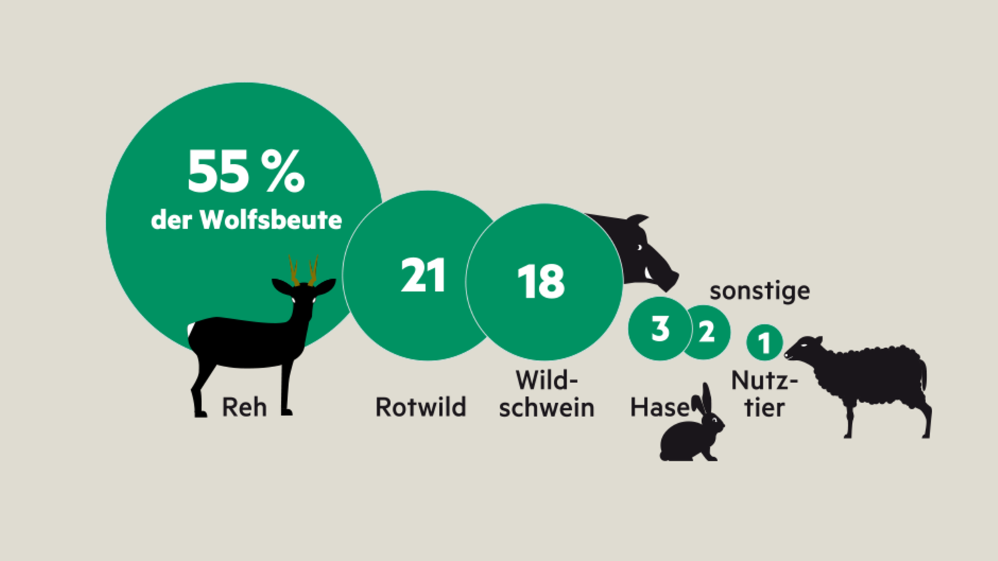 Beutetiere - das frisst ein Wolf