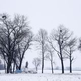 Nach Atom-Gau: Tschernobyl  - Die Tiere übernehmen, sobald der Mensch verschwindet