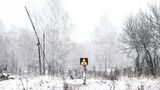 Nach Atom-Gau: Tschernobyl  - Die Tiere übernehmen, sobald der Mensch verschwindet