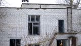 Nach Atom-Gau: Tschernobyl  - Die Tiere übernehmen, sobald der Mensch verschwindet