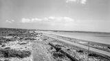 Weder Ballermann noch Schinkenstraße: Der jungfräuliche und fast komplett unbebaute Strand an der Platja de Palma in den frühen 50er Jahren