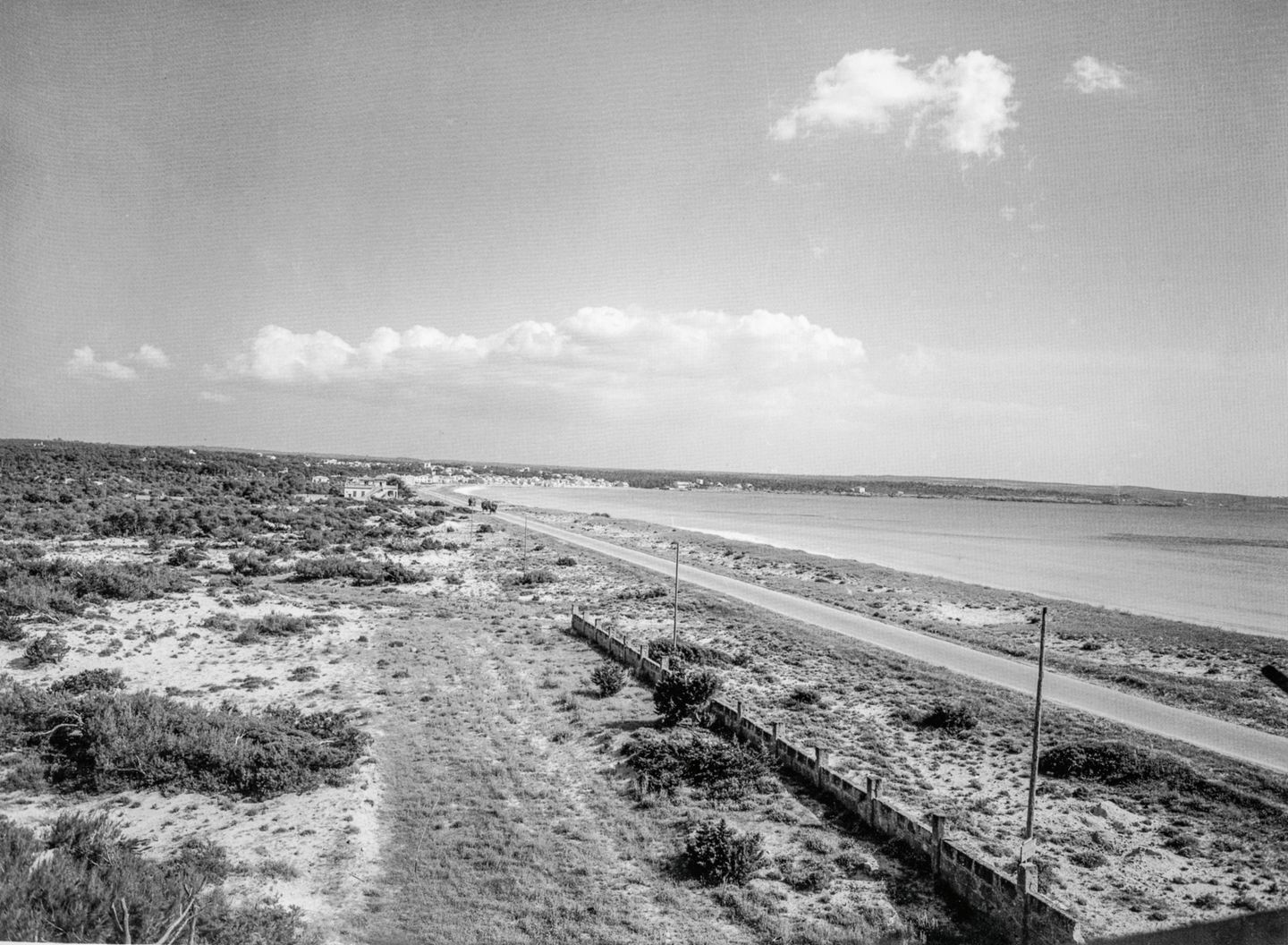 Weder Ballermann noch Schinkenstraße: Der jungfräuliche und fast komplett unbebaute Strand an der Platja de Palma in den frühen 50er Jahren