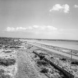 Weder Ballermann noch Schinkenstraße: Der jungfräuliche und fast komplett unbebaute Strand an der Platja de Palma in den frühen 50er Jahren