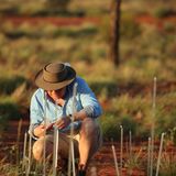 Auf den Plexiglastelen werden die Leuchtbälle platziert