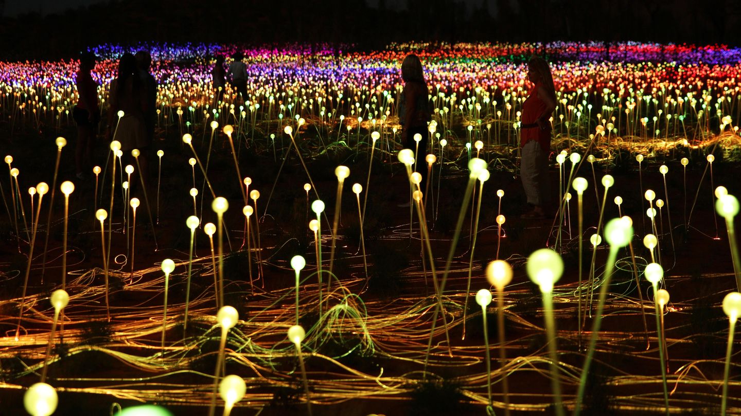 Hier wandeln Besucher durch die Field of Light