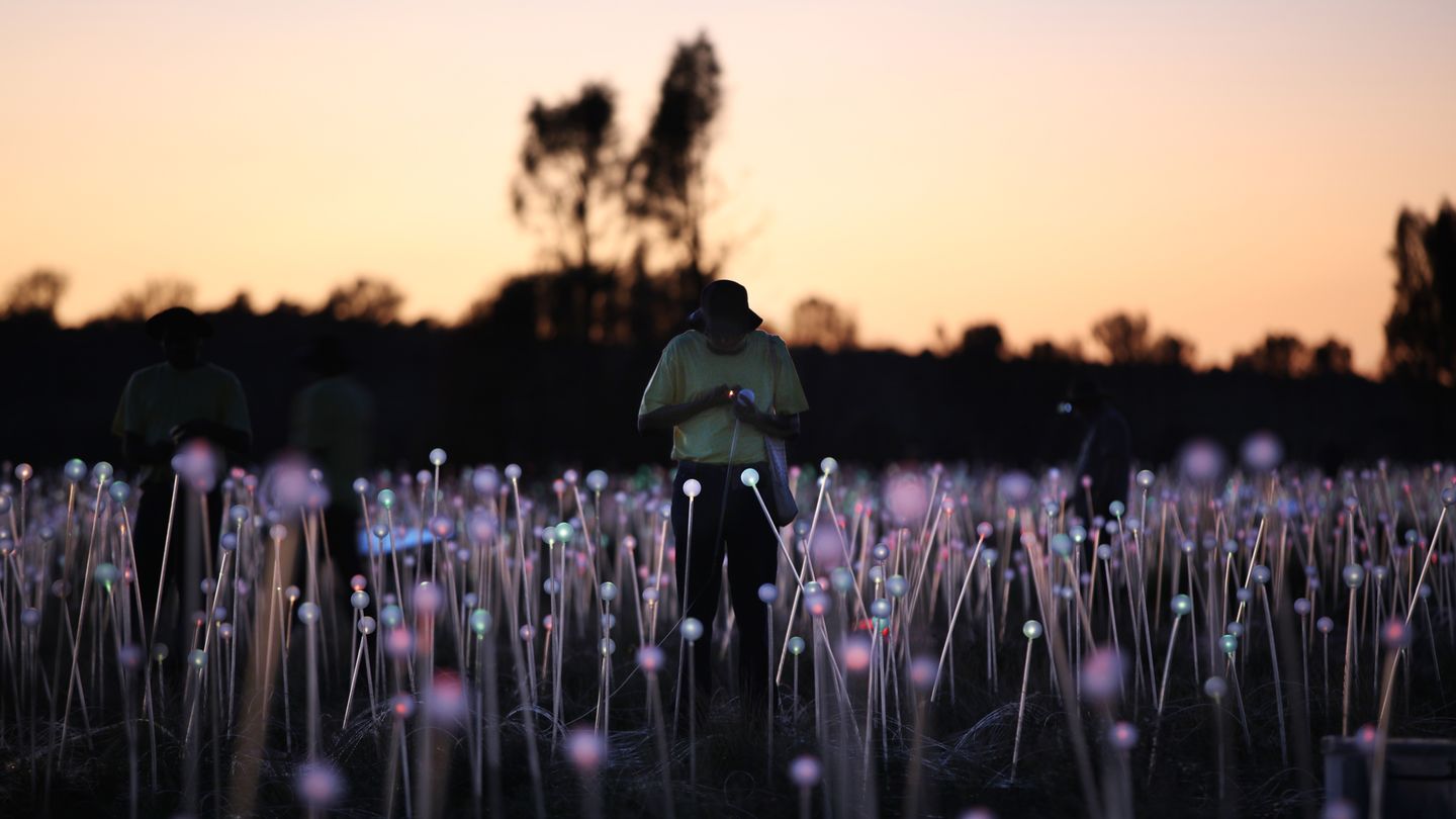 Beliebt sind auch die Touren zum Field of Light während des Sonnenauf- und Untergangs