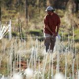 Dazu mussten kilometerlange Fiberglaskabel im Busch verlegt werden