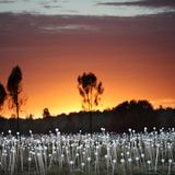 Weiß leuchten die in die Erde gesteckten Stelen vor dem dramatischen Sonnenaufgangshimmel