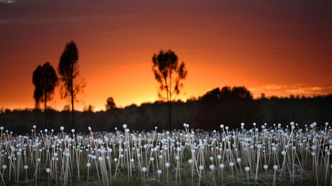 Weiß leuchten die in die Erde gesteckten Stelen vor dem dramatischen Sonnenaufgangshimmel