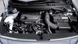 Das 1,0 Liter große Aggregat.