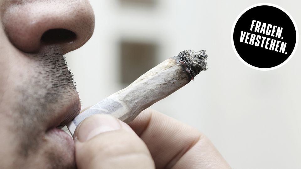Rauchend neben dem Fahrer: Polizei erwischt Cannabis-Wächter beim Kiffen Rauchend neben dem Fahrer: Polizei erwischt Cannabis-Wächter beim Kiffen