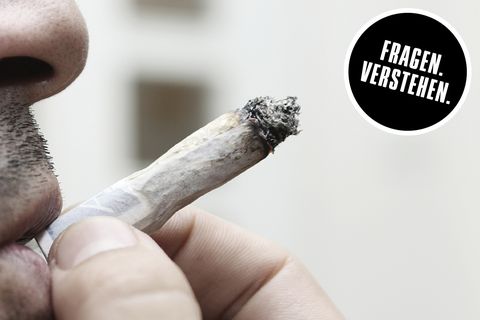 Wissenschaft schnell erklärt : Cannabis legalisieren? Die Krux des freien Kiffens