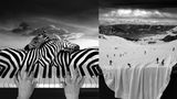 "Surreal Dreams": Fotografische Alpträume in Schwarz und Weiß